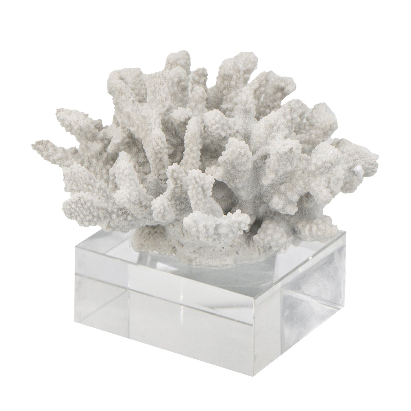 Coral Accessory with White Glass Base 70303