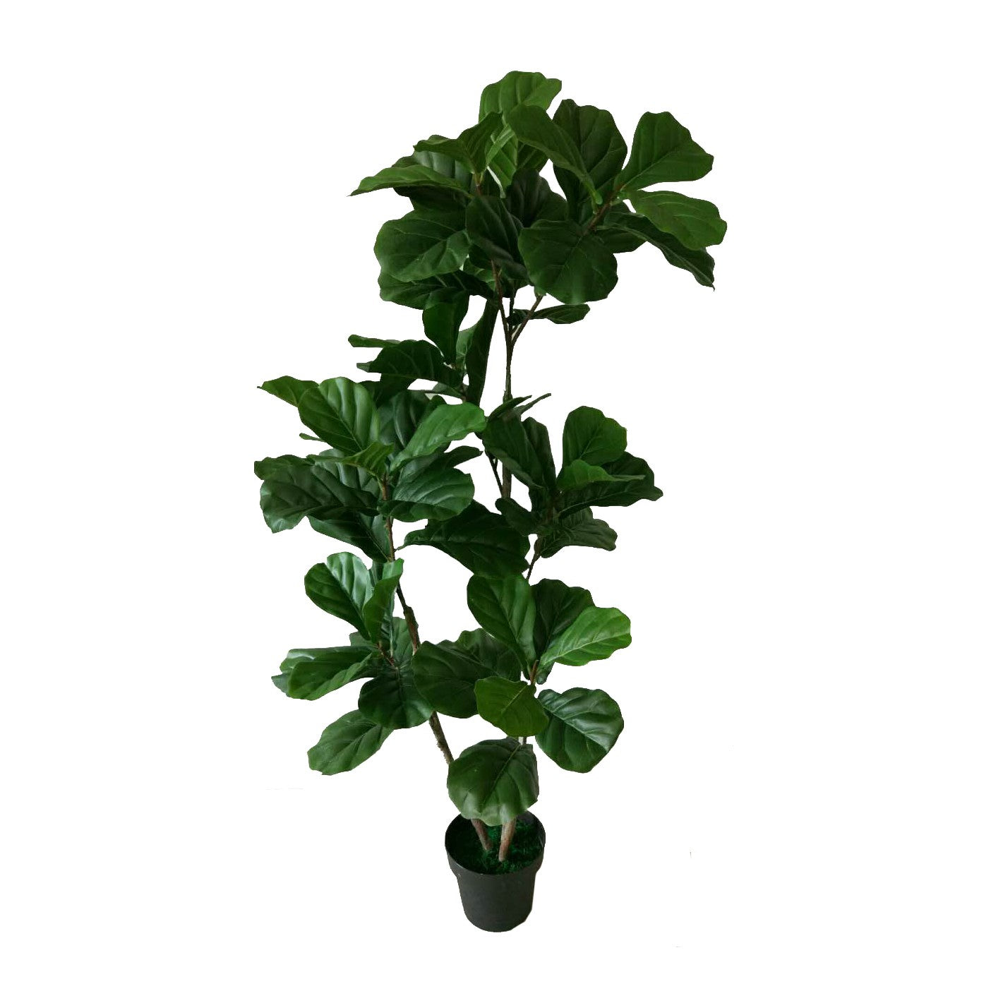 Artificial Fiddle Leaf Fig Tree F4536
