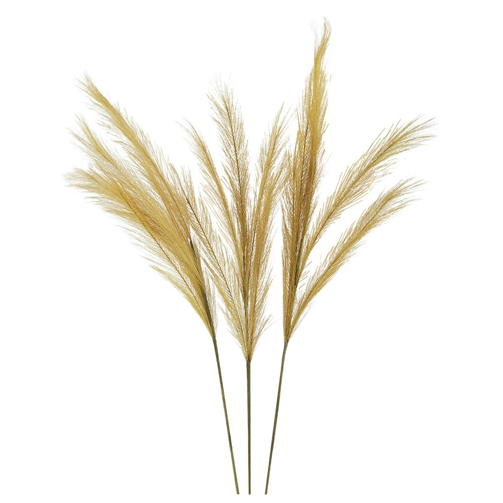 3 Pieces Dried Pampas Flower SA20013-DKBR-AB