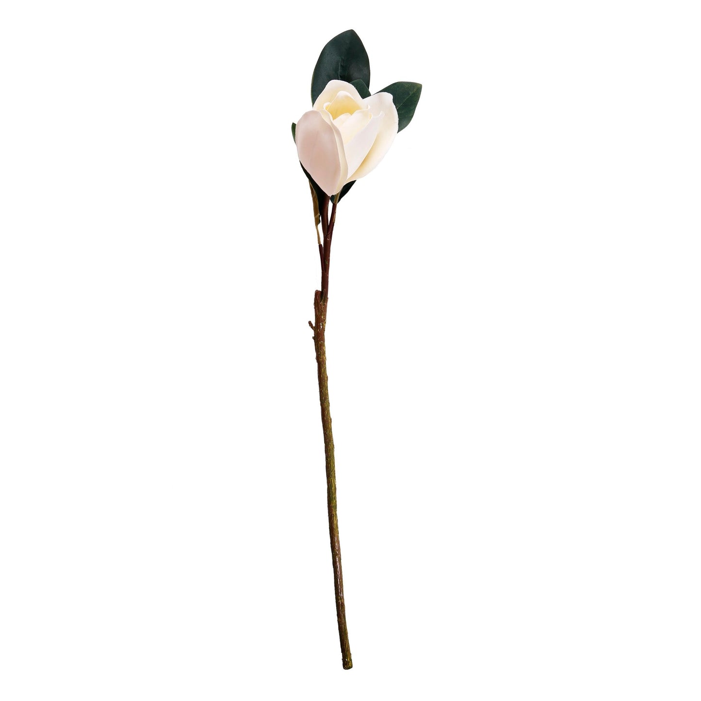 White Magnolia flower 1990