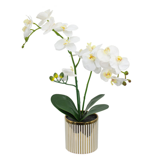 Orchid Flower 2394-DS