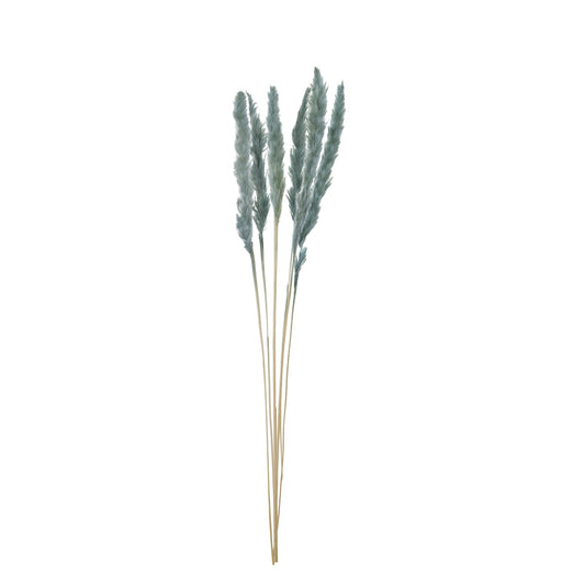Dried Pampas Flower 3 Pieces 411874-AQUA-AB