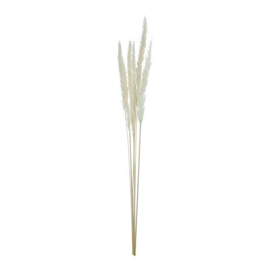 Dried Pampas Flower Rose 3 Pieces 411874-WHIT-AB