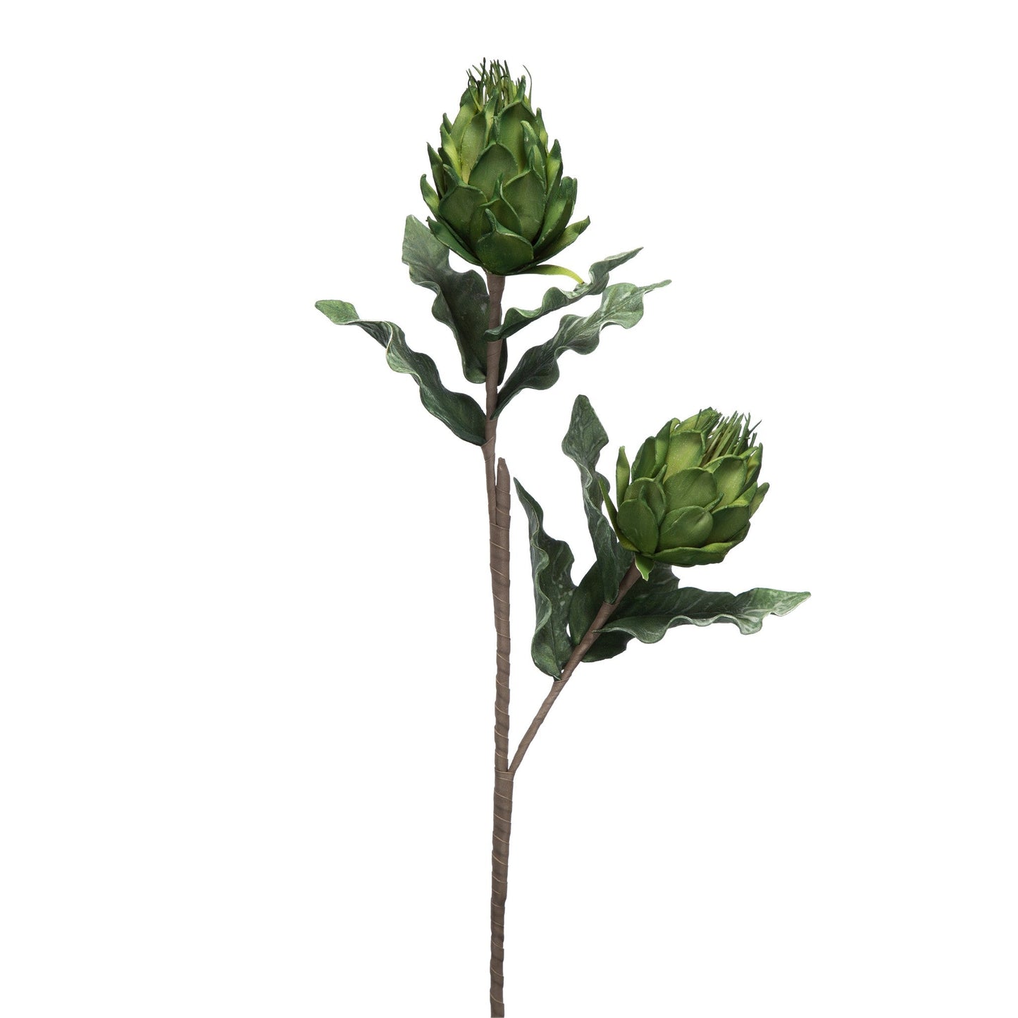 Artichoke Plant 420015-AB