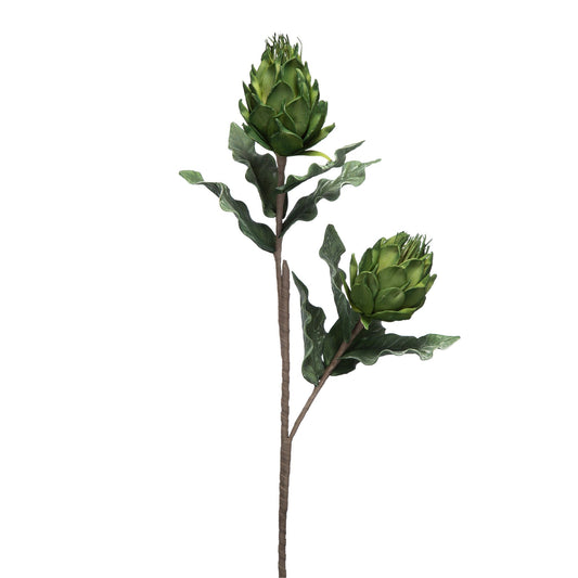 Artichoke Plant 420015-AB