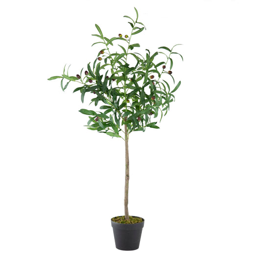 Olive Tree 44*40*108 420023-AB