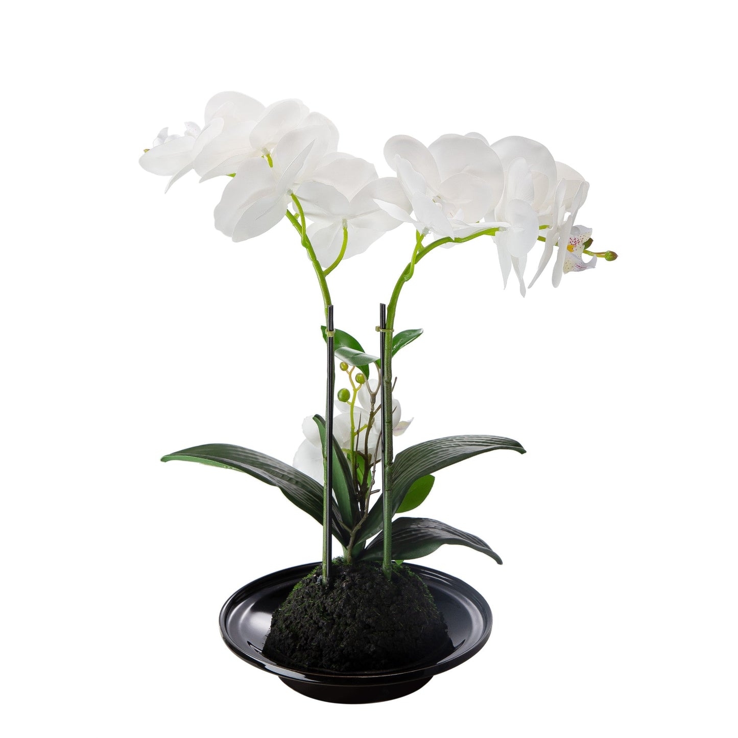 Orchid Flower Real Touch 420025-AB