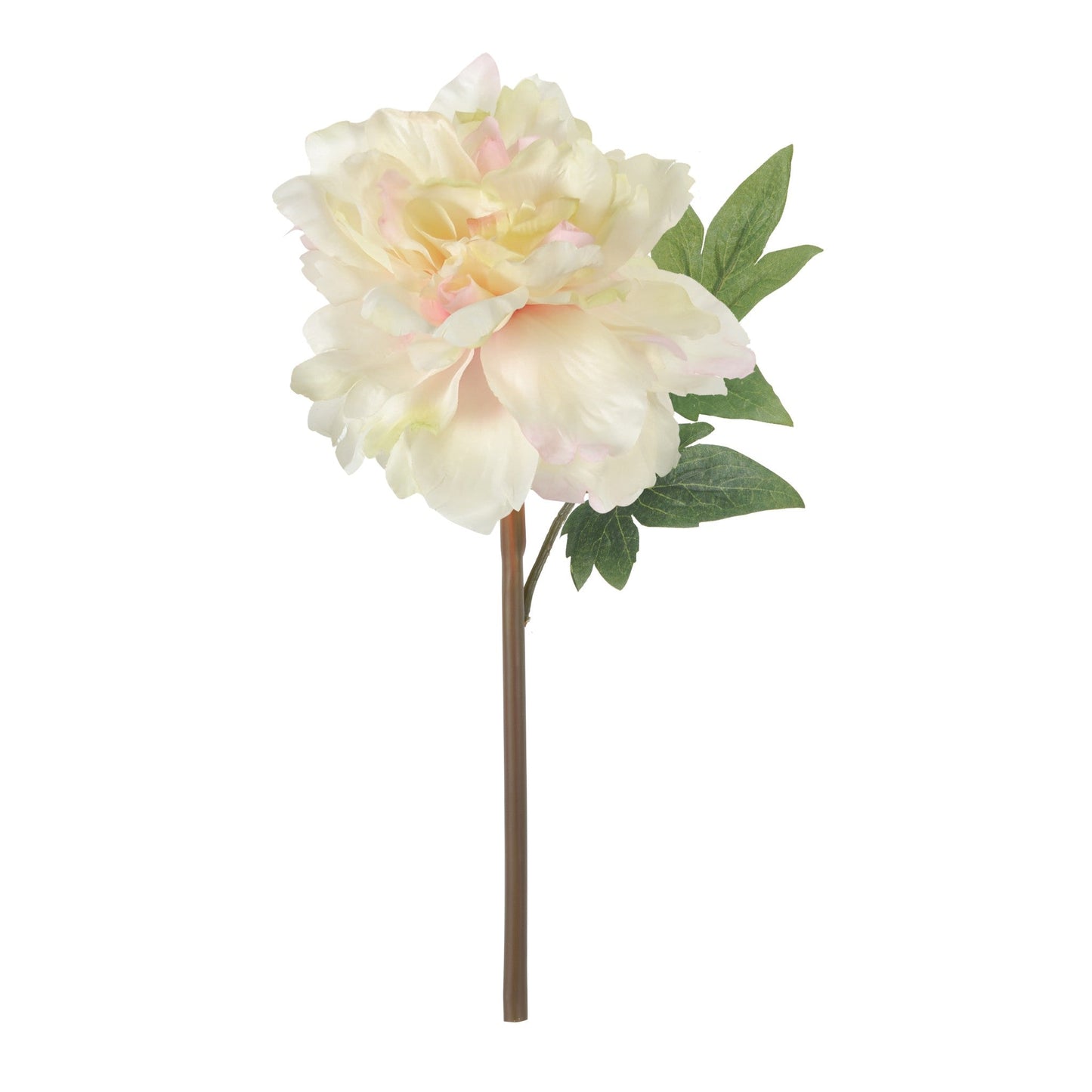 Peony Flower Rose 59997-GPIN
